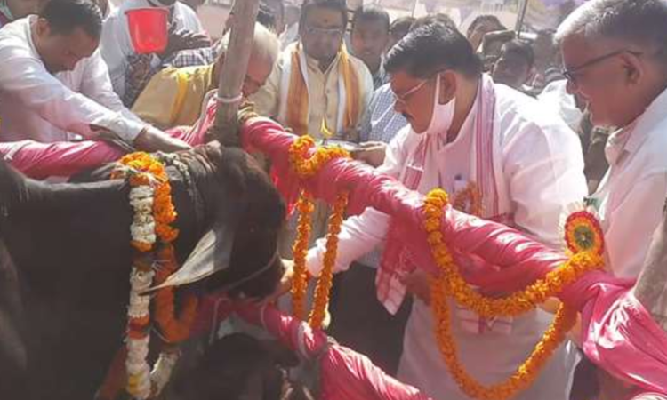 Varanasi Animal Fair receives a huge response, witnesses many activities