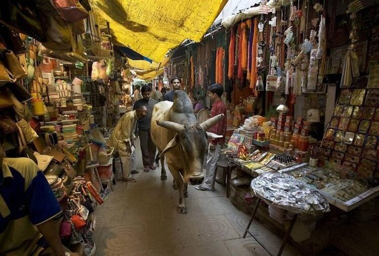 Famous Varanasi Streets Tour: Remnants of The Ancient City